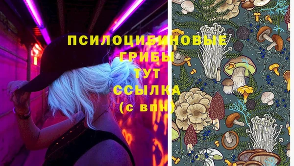 jwh Белоозёрский